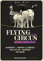  Flying Circus 