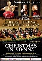 Christmas in Viena